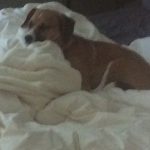 Meet your Posher, Rajnesh